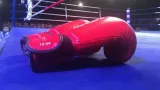 Ghana : la boxe stoppée pour cette raison
